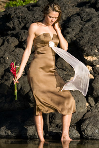 Victoria Dress